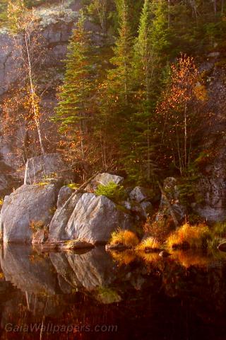 Rock and water in autumn - Free desktop wallpapers
