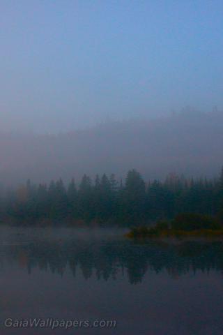 Foggy lake - Free desktop wallpapers