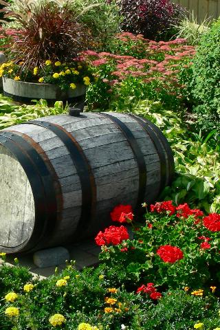 Wood barrel in the flowers - Free desktop wallpapers
