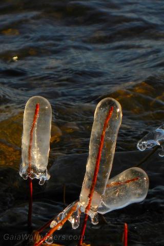 Glaçons formés par les vapeurs d'eau du lac - Fonds d'écran gratuits