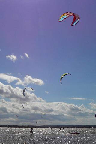 Kite day on Lake of Two Mountains - Free desktop wallpapers