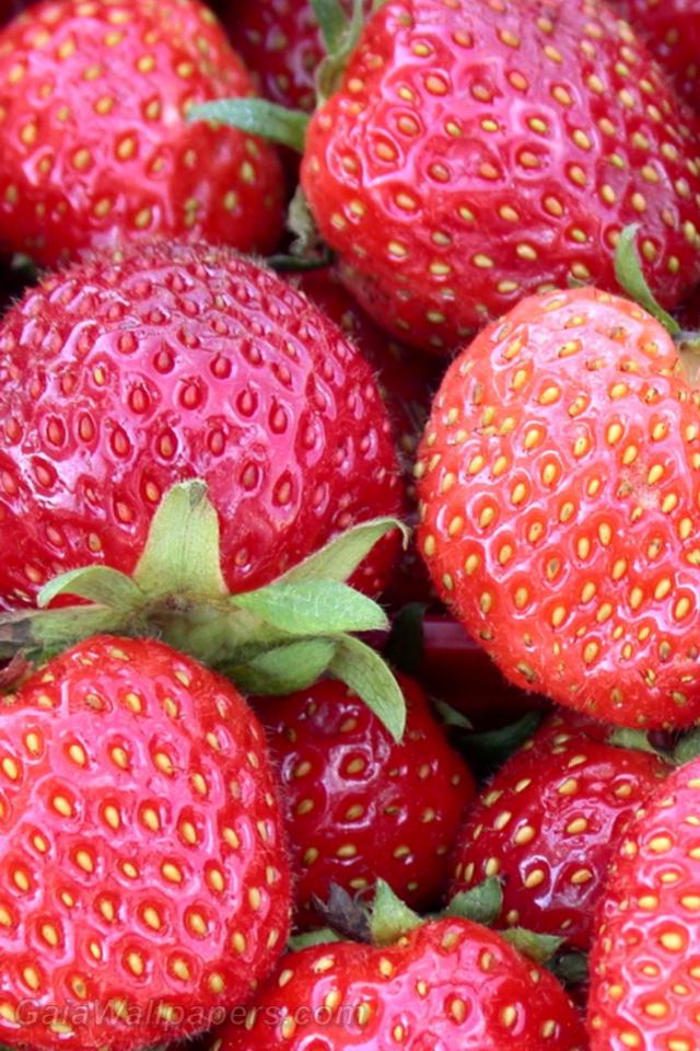 Strawberries - Free desktop wallpapers