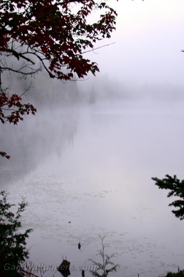 Thick fog over the lake - Free desktop wallpapers