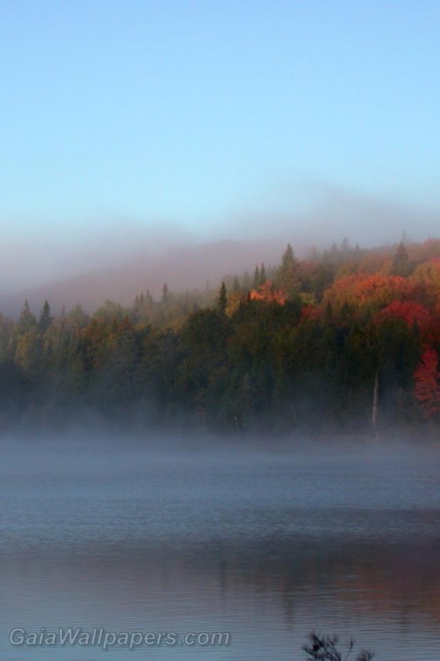 Dissipating fog over the lake - Free desktop wallpapers