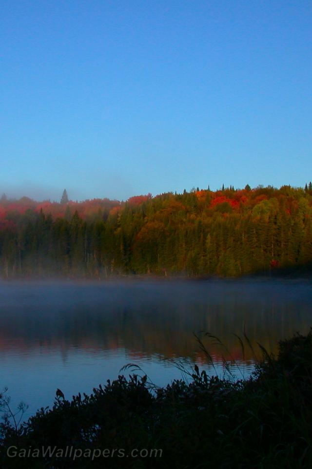 Lac légèrement brumeux début de l'automne - Fonds d'écran gratuits
