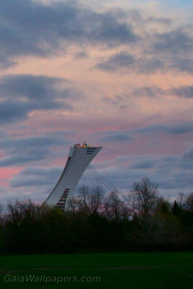Olympic Stadium's tower seen from Maisonneuve Park - Free desktop wallpapers