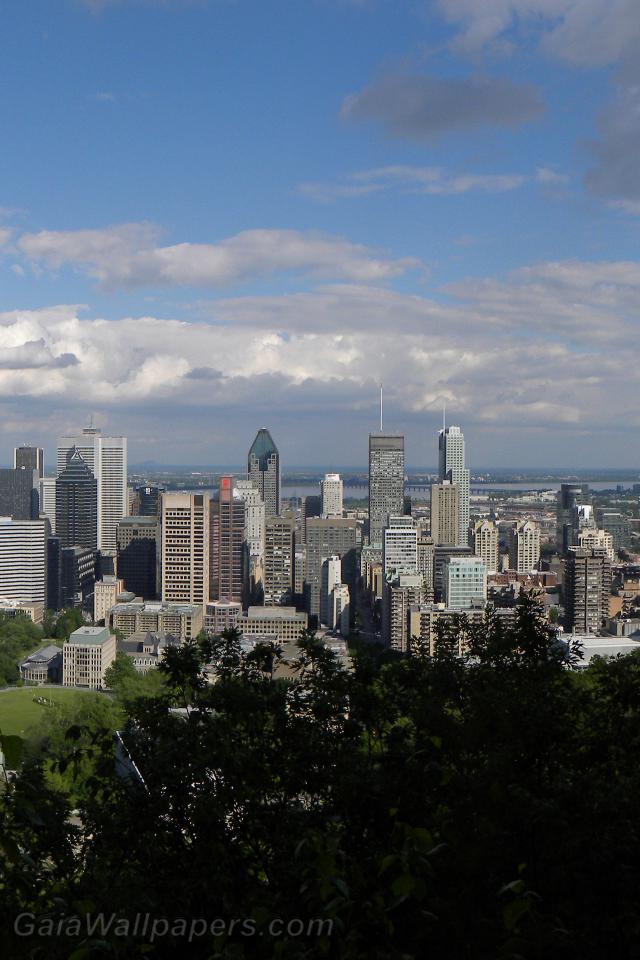 Montreal downtown seen from Mount Royal - Free desktop wallpapers
