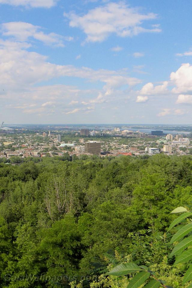 Montreal East seen from Mount Royal - Free desktop wallpapers