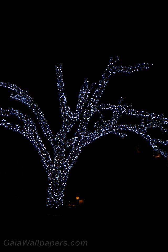 Decorated tree for Christmas in an urban park - Free desktop wallpapers