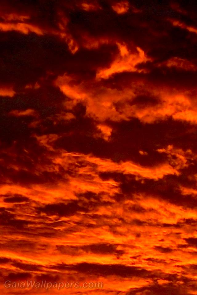 Incandescent sunset with clouds of fire - Free desktop wallpapers