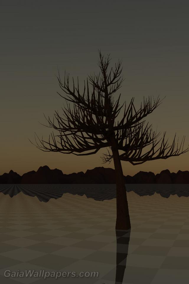 Lonely tree in a lonely land at dusk - Free desktop wallpapers