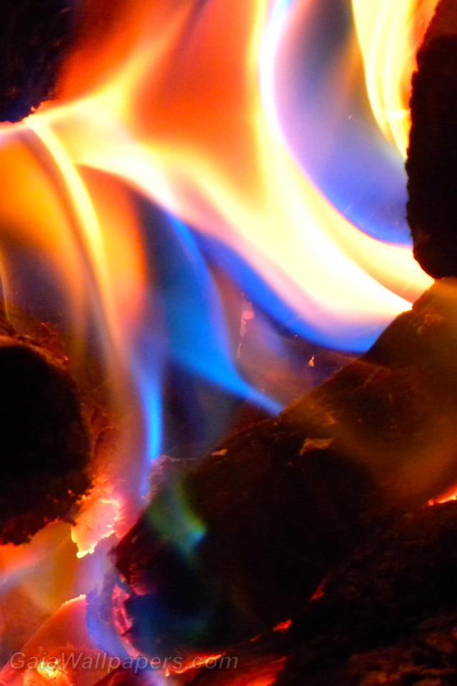 Blue fire emerging from the embers - Free desktop wallpapers