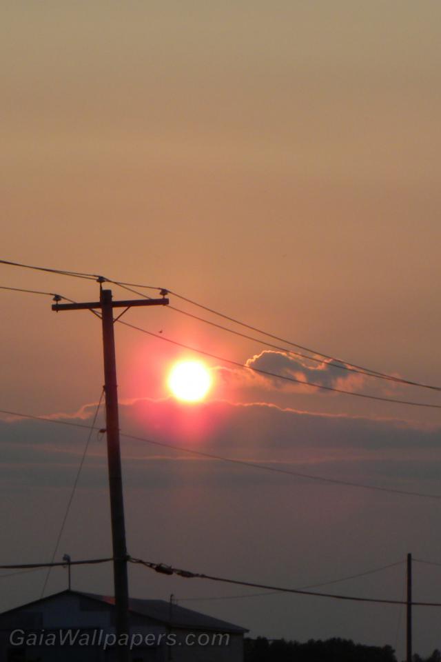 Coucher de soleil au-dessus des lignes électriques - Fonds d'écran gratuits