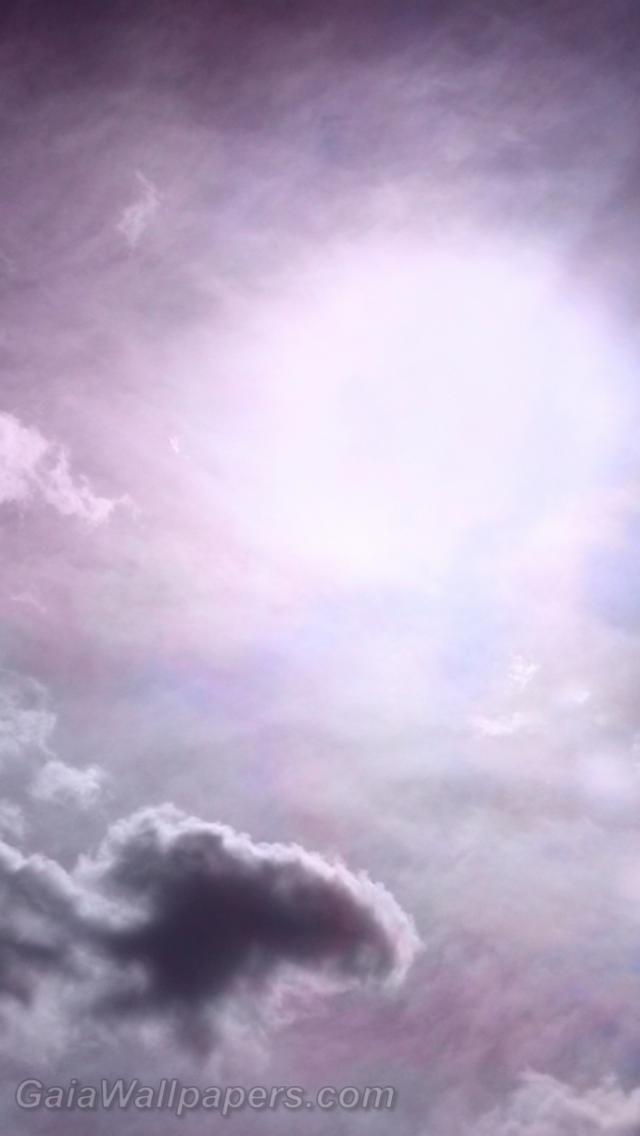 Purple sunny sky - Free desktop wallpapers