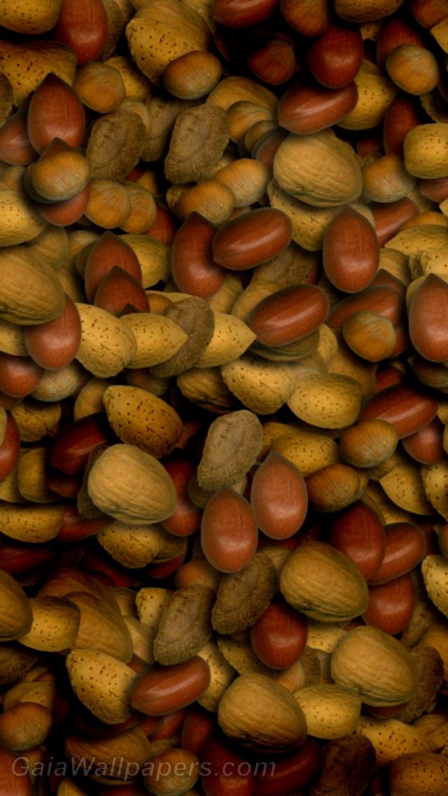 Nuts cover - Free desktop wallpapers