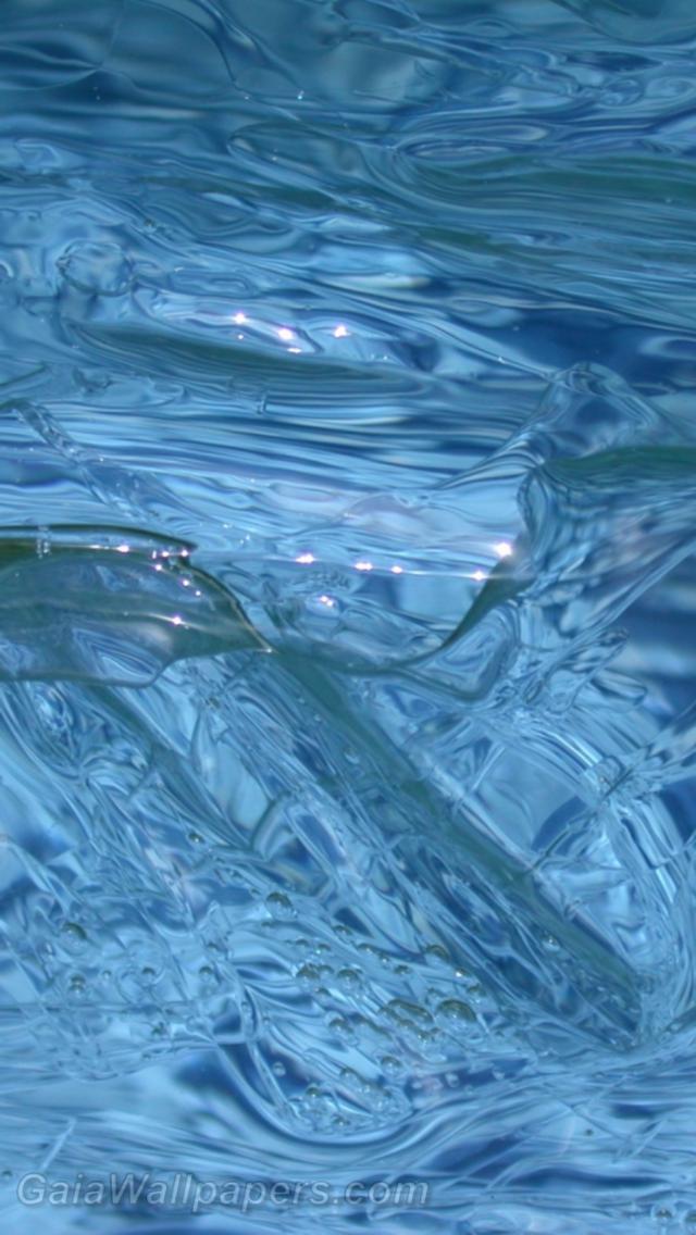 Melting ice in a pool - Free desktop wallpapers