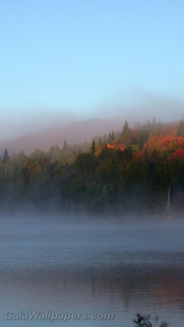 Brouillard au-dessus du lac se dissipant - Fonds d'écran gratuits