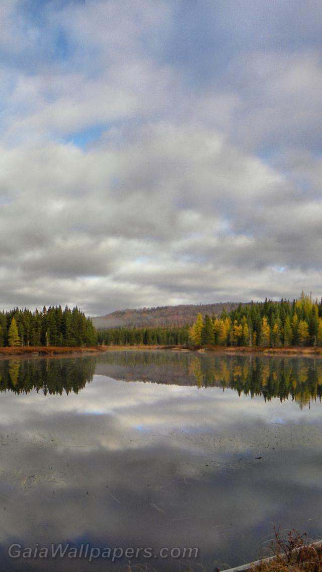 Beautiful autumn lake - Free desktop wallpapers