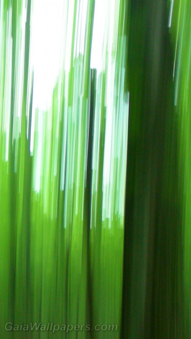 Distorsion vert forêt - Fonds d'écran gratuits