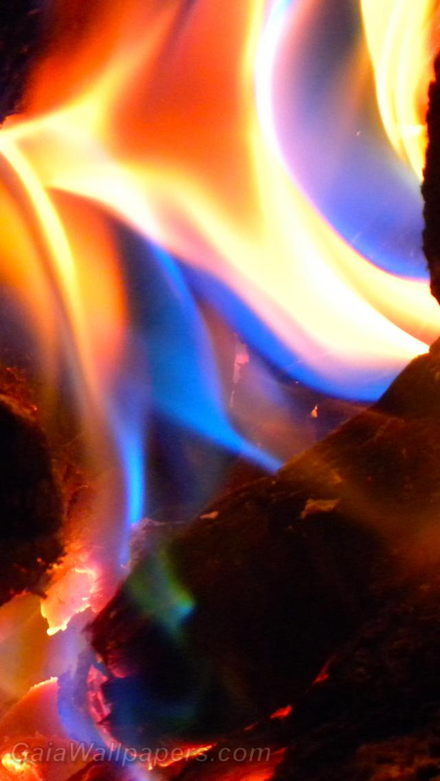Blue fire emerging from the embers - Free desktop wallpapers