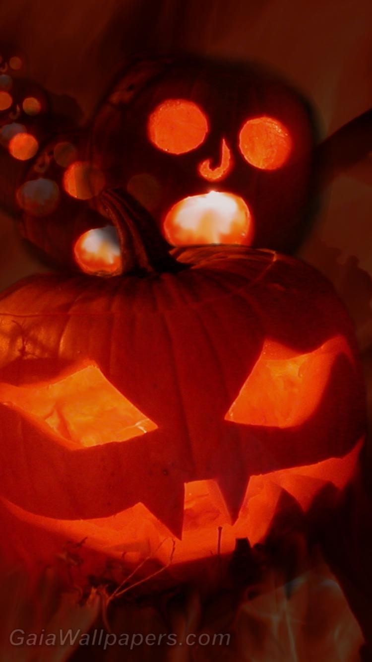 Fête de citrouilles fantômes à l'Halloween - Fonds d'écran gratuits