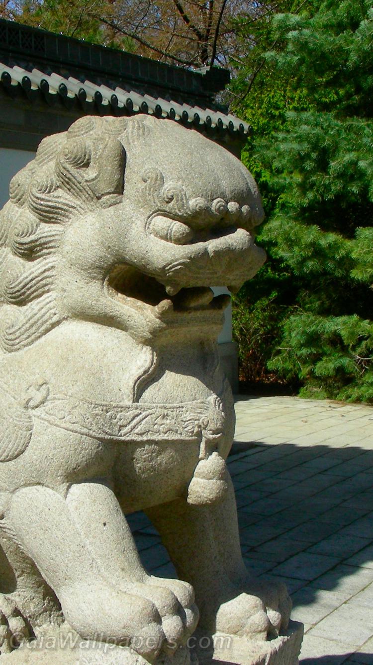 Chinese guardian lion statue - Free desktop wallpapers
