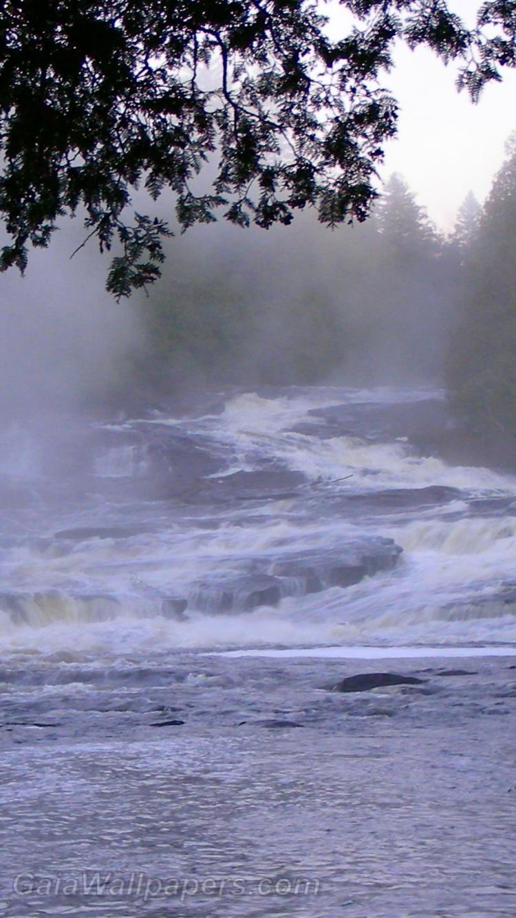 Stream Les Six-Chutes in the morning fog - Free desktop wallpapers