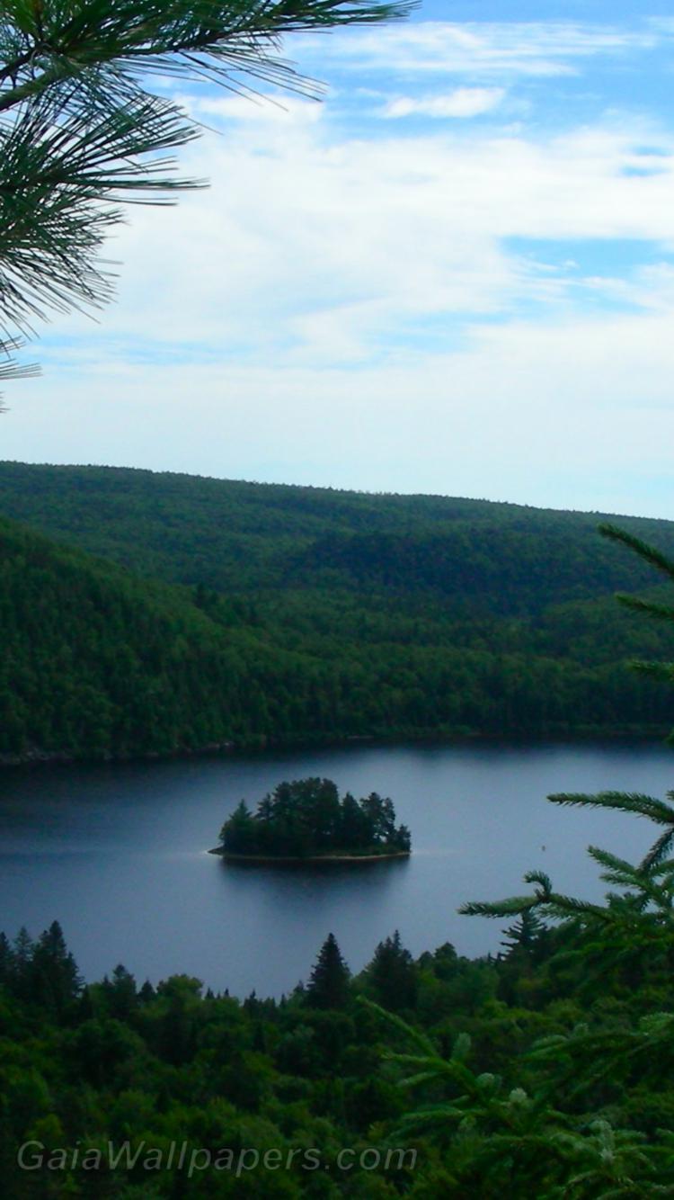 L'île au Pins sur le lac Wapizagonke - Fonds d'écran gratuits
