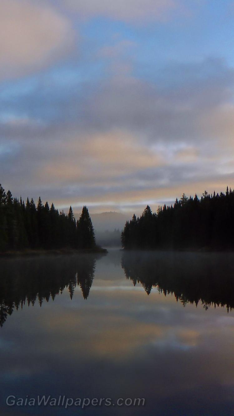 Sunrise in the forest reflected on a calm lake - Free desktop wallpapers