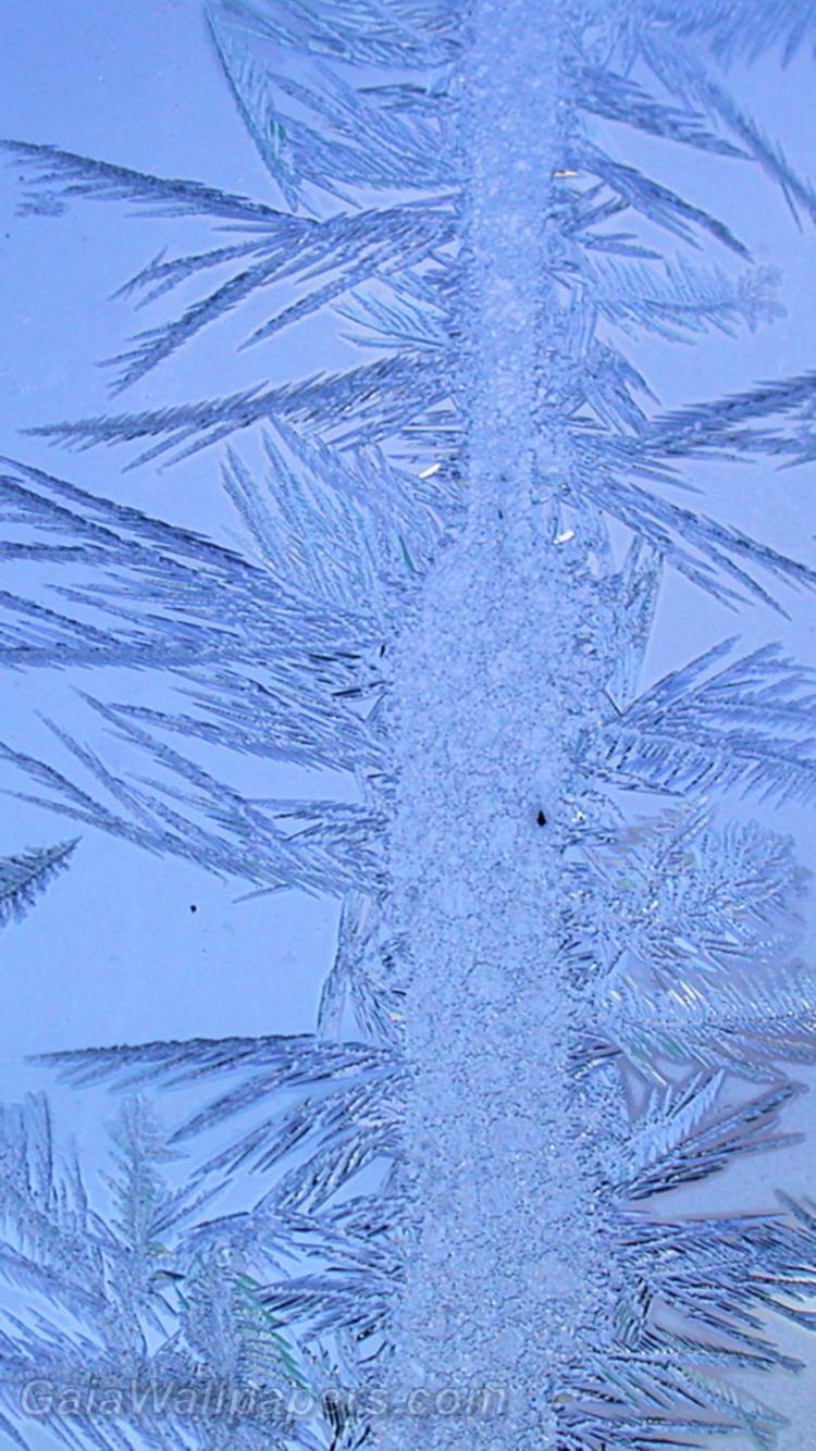 Crystallized ice on a window - Free desktop wallpapers