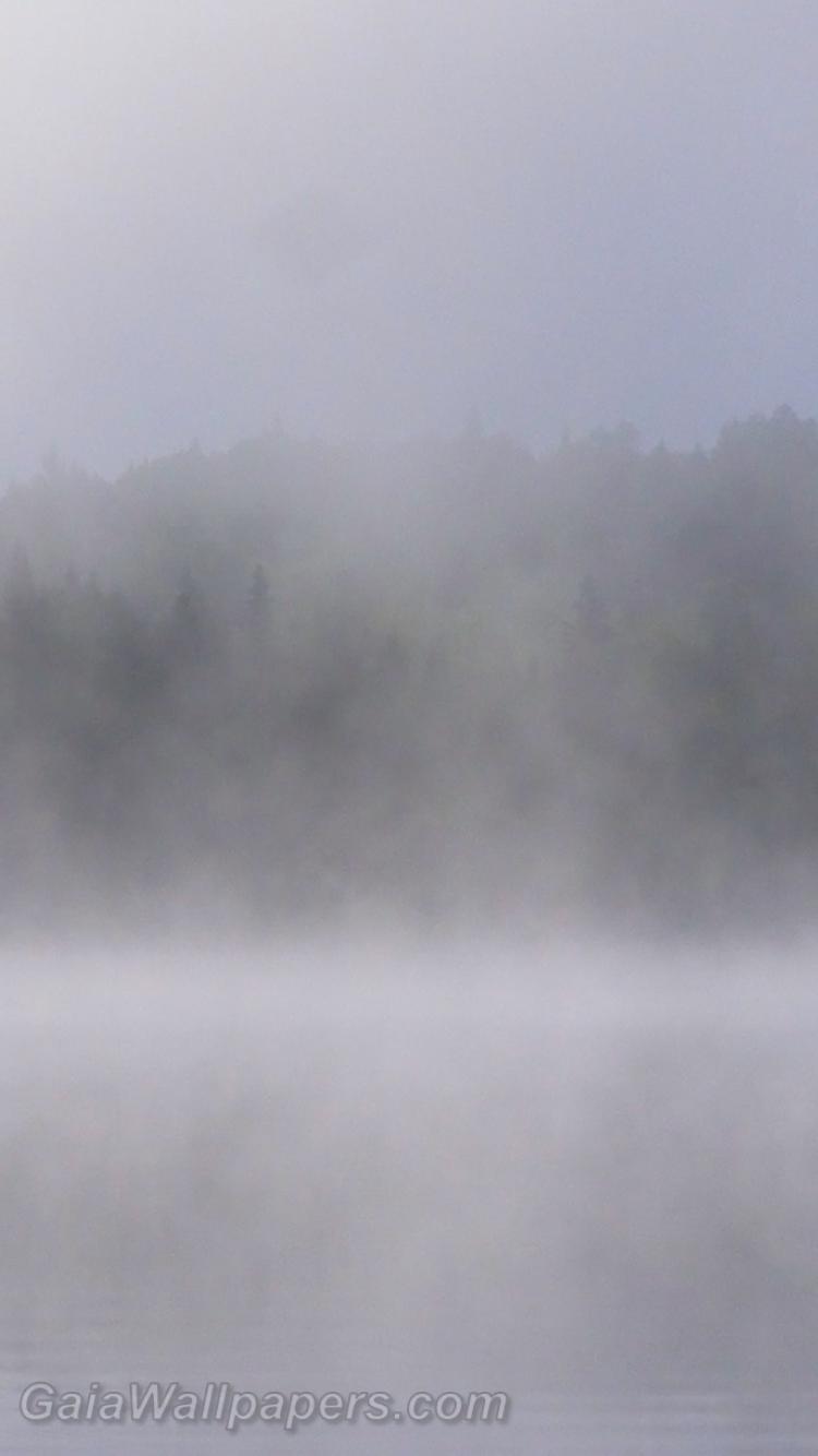 Lac Caisse in the morning mist - Free desktop wallpapers