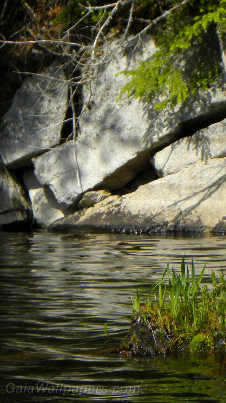 Bord de lac rocheux dans la forêt - Fonds d'écran gratuits