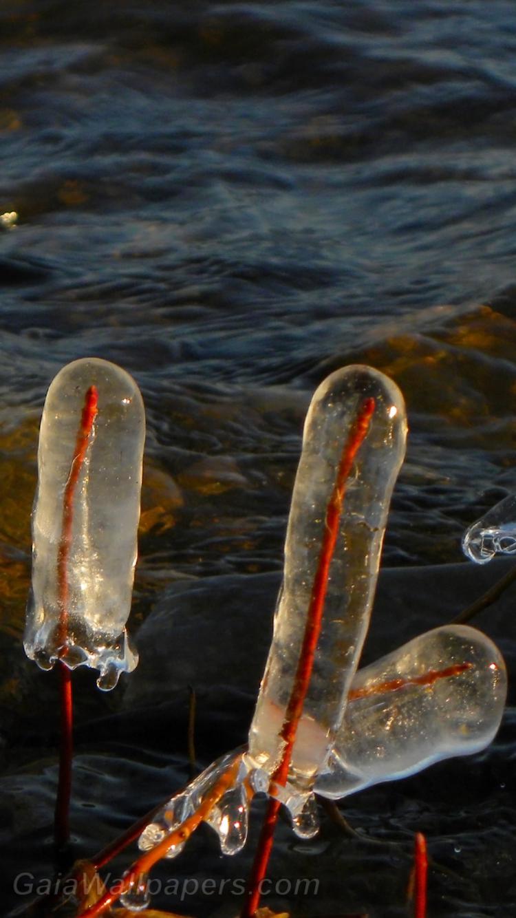 Glaçons formés par les vapeurs d'eau du lac - Fonds d'écran gratuits