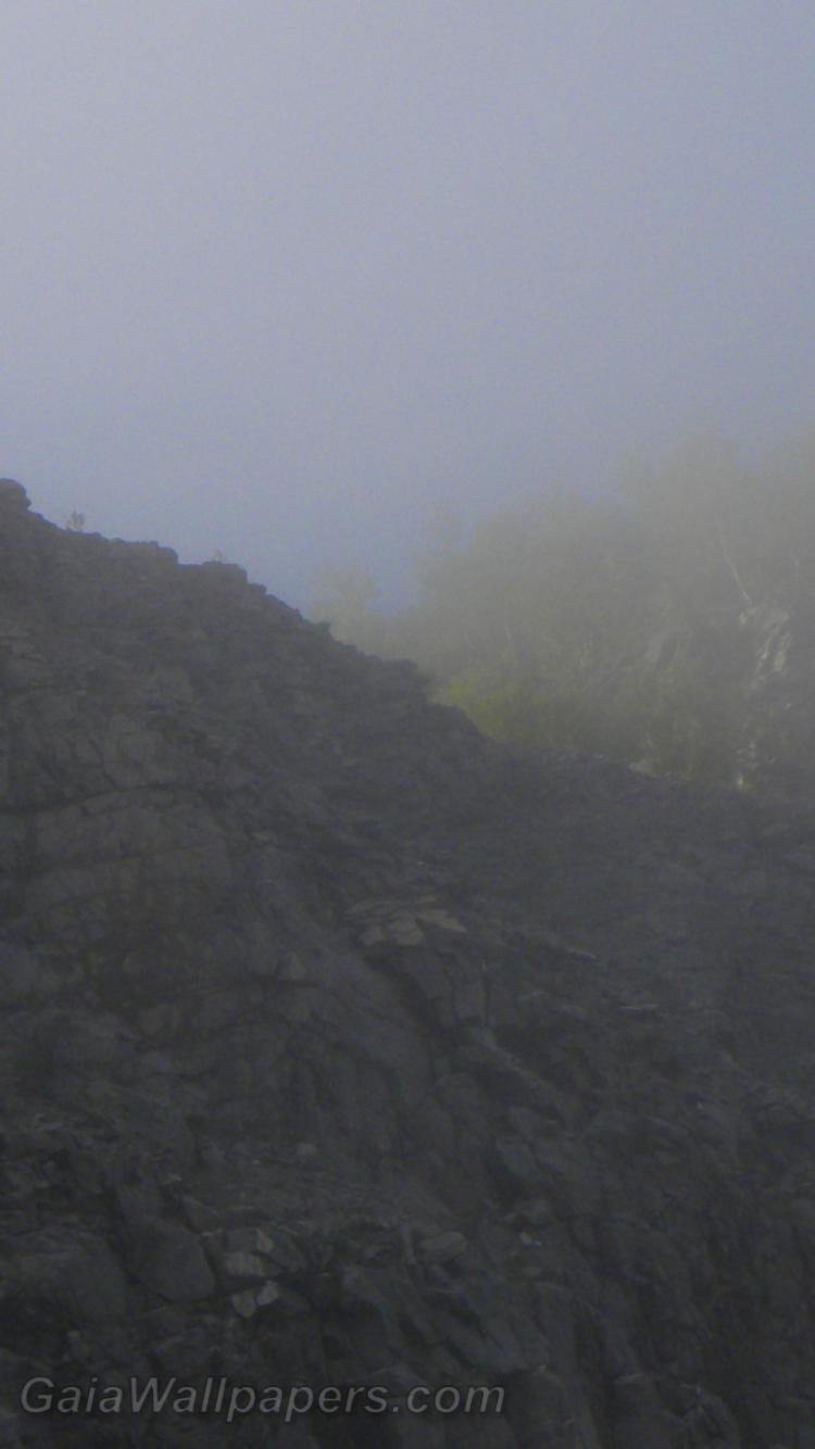 Threatening cliff in the morning mist - Free desktop wallpapers