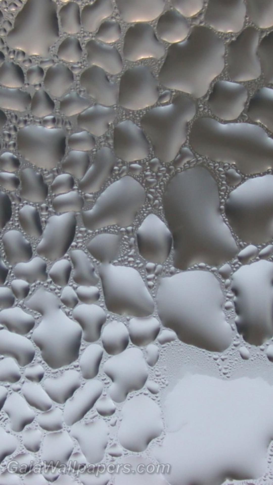 Condensation de gouttes d'eau argentées - Fonds d'écran gratuits