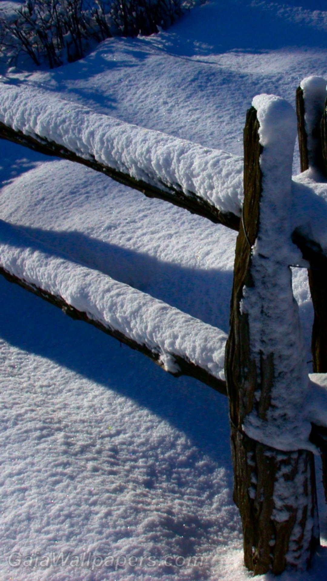 Snow-covered fence - Free desktop wallpapers