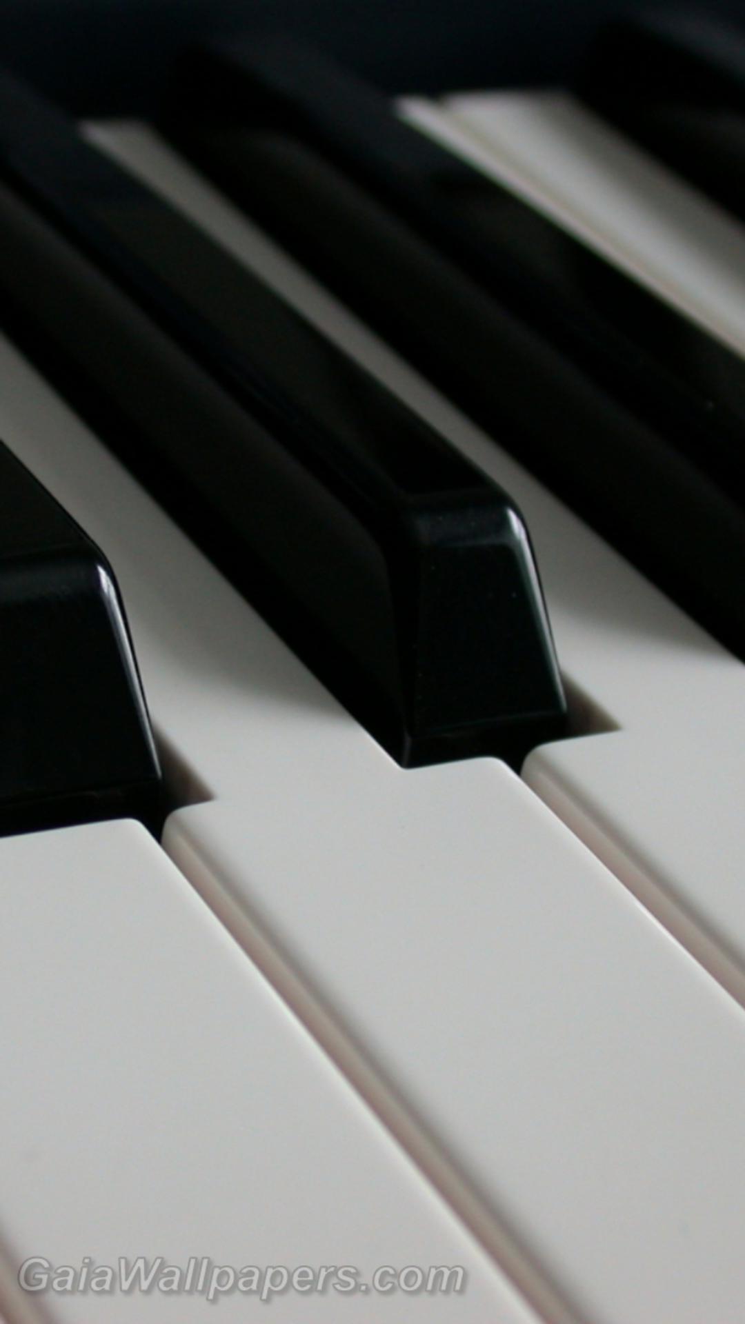 Touches de piano - Fonds d'écran gratuits