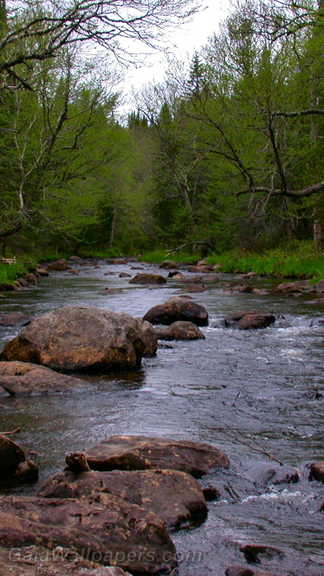 Ruisseau rocailleux - Fonds d'écran gratuits