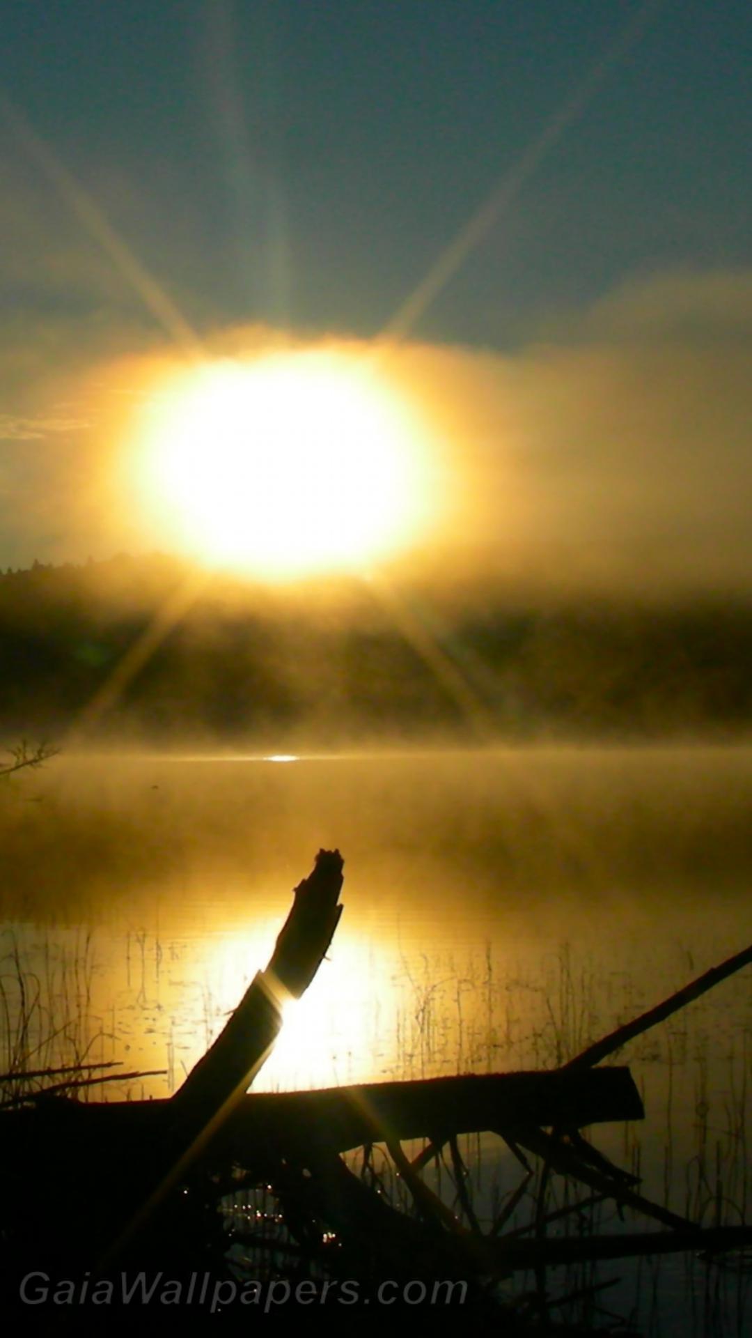 Lever de soleil à travers lac brumeux - Fonds d'écran gratuits