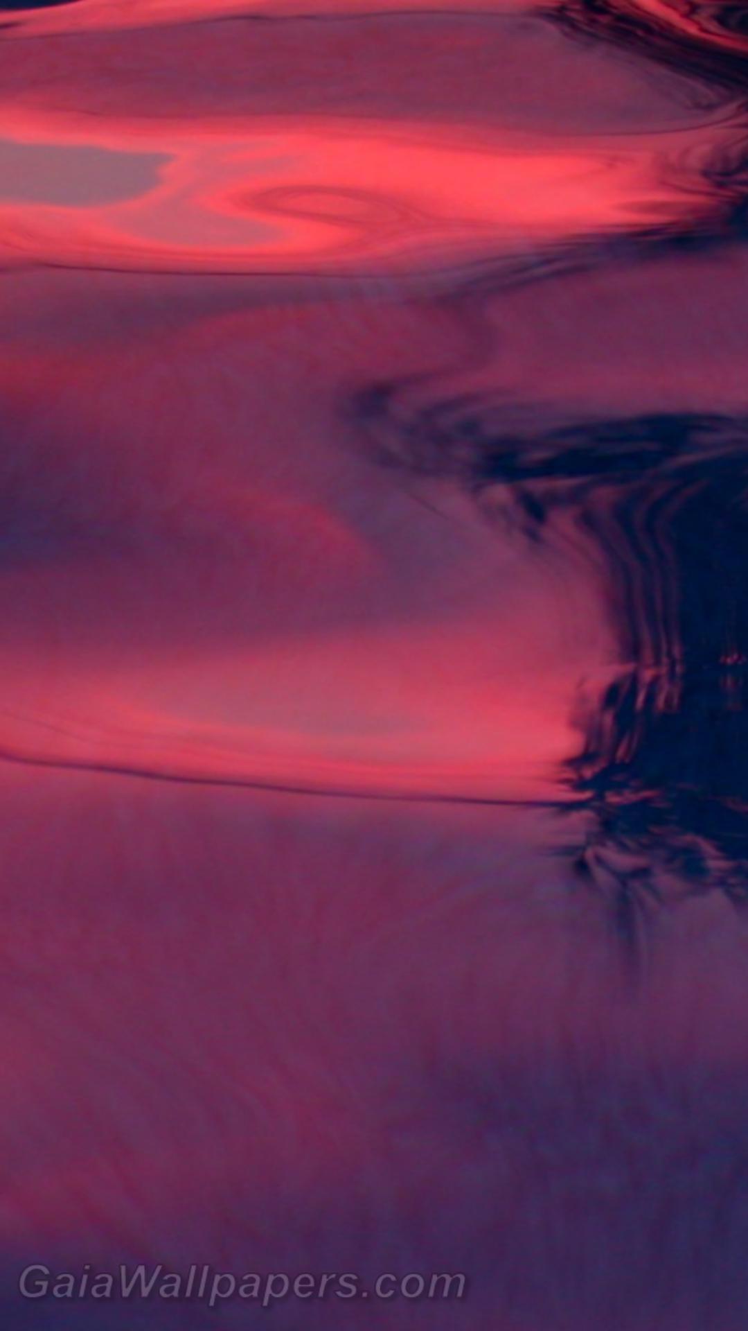 Pink sunset light in the pool - Free desktop wallpapers