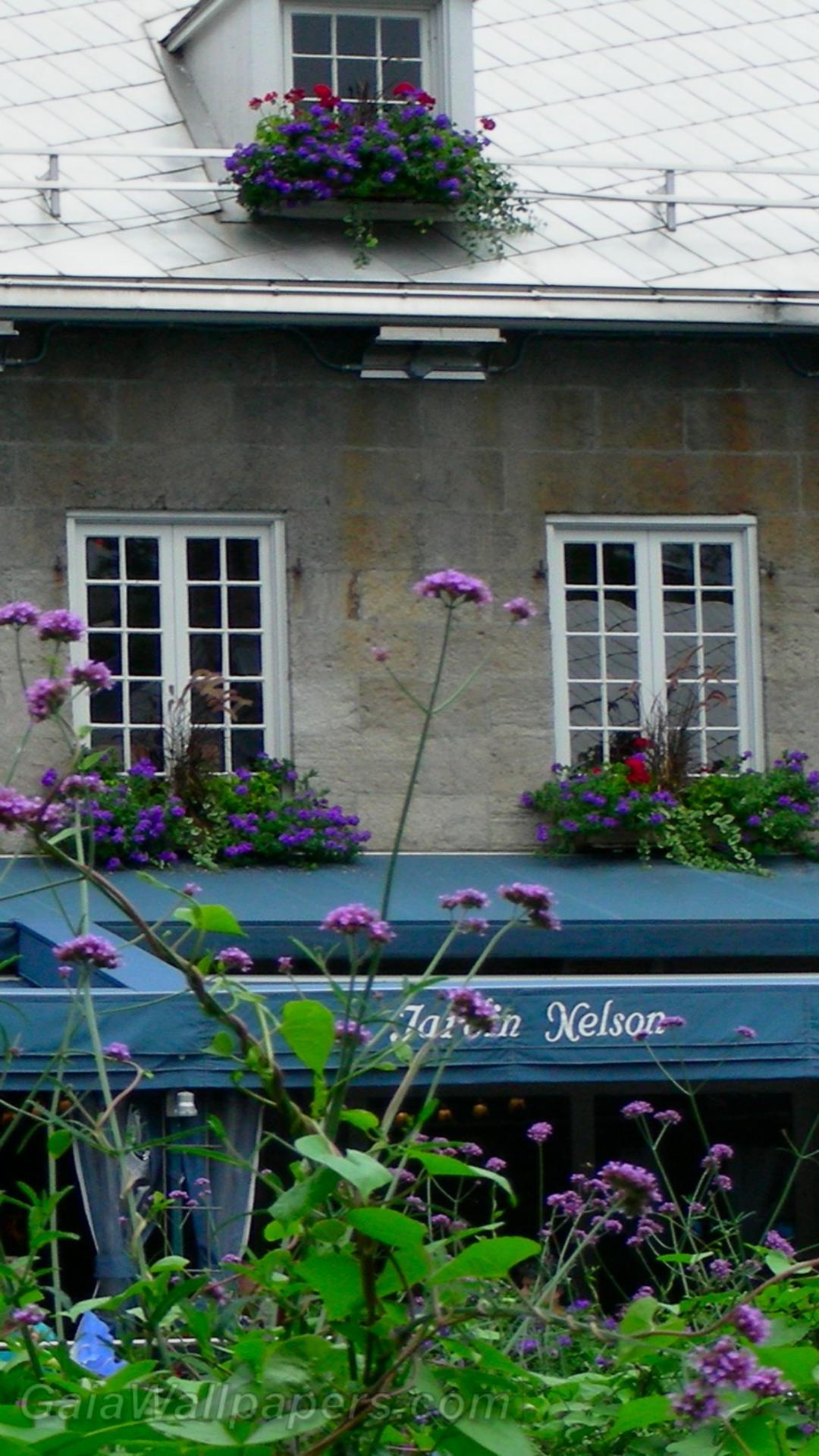Restaurant de la Place Jacques-Cartier - Fonds d'écran gratuits