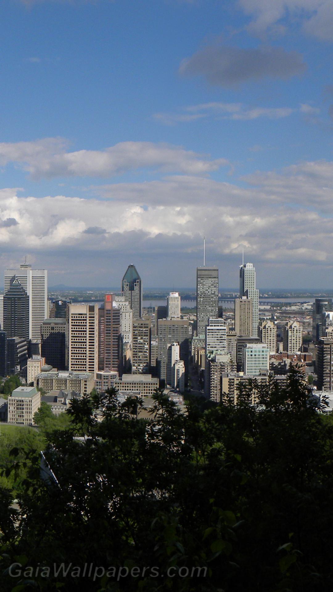 Montreal downtown seen from Mount Royal - Free desktop wallpapers