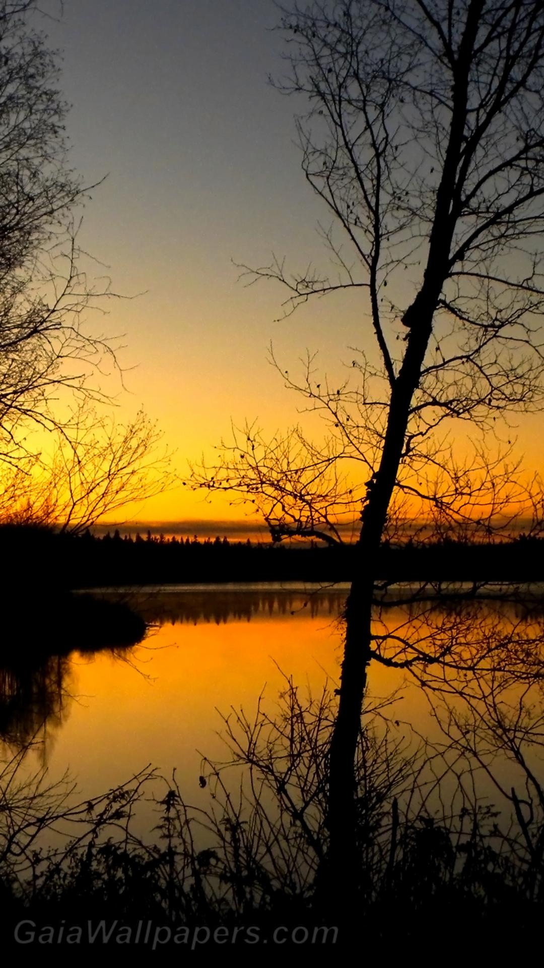 Début du lever du soleil sur le lac - Fonds d'écran gratuits