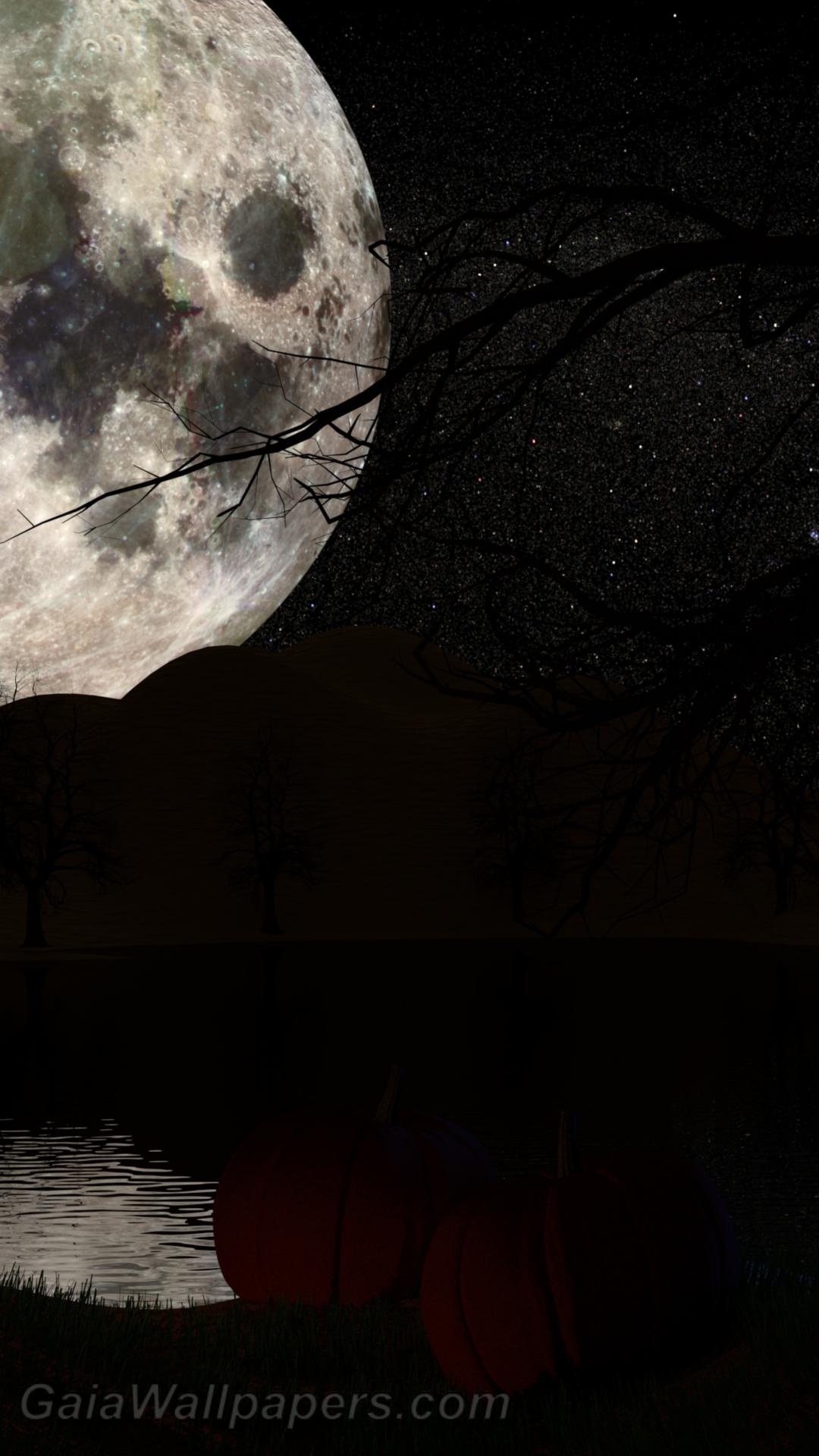 Pleine lune au-dessus du Lac aux citrouilles - Fonds d'écran gratuits