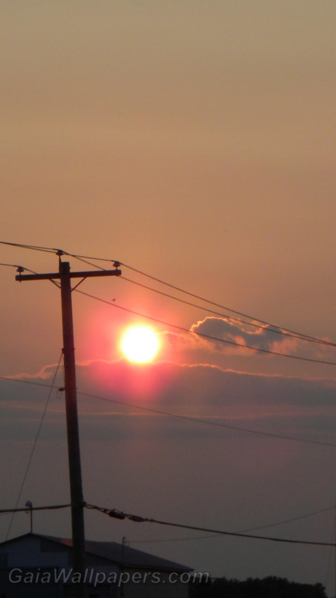 Sunset above the power lines - Free desktop wallpapers