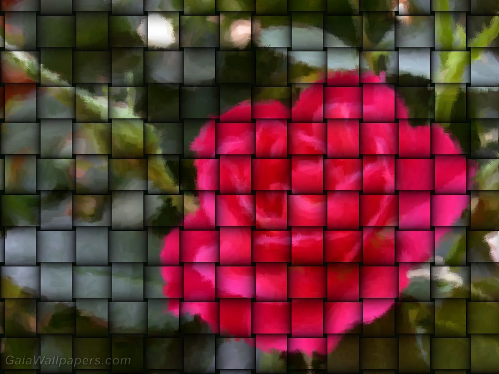 Rose in a weave - Free desktop wallpapers