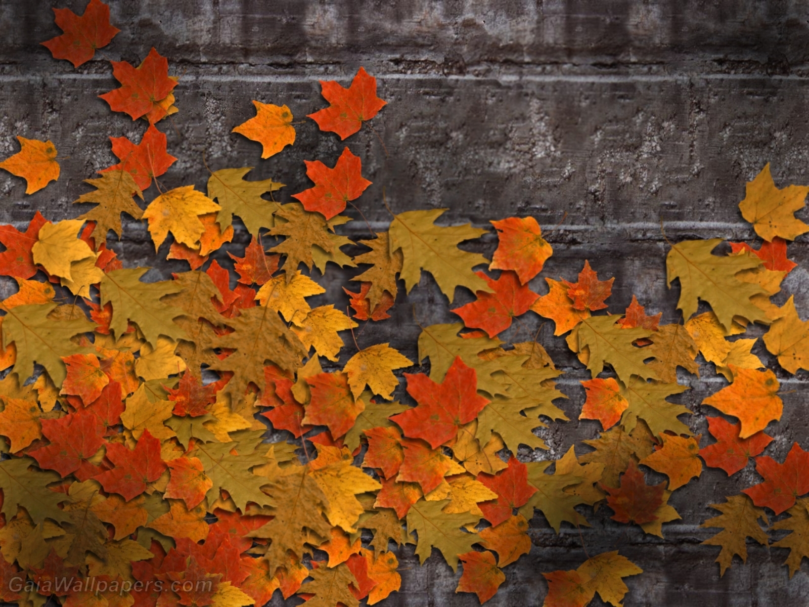 Autumn on the stone wall - Free desktop wallpapers