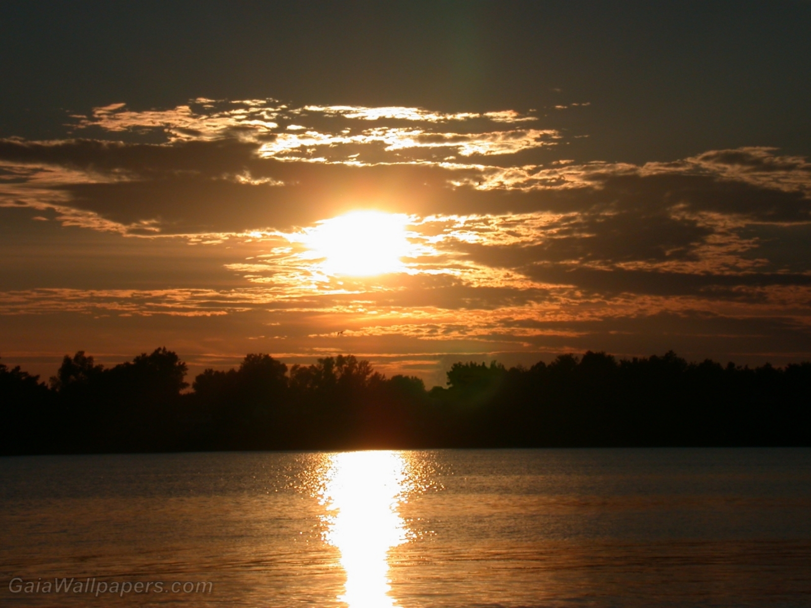 Coucher de soleil sur la rivière - Fonds d'écran gratuits