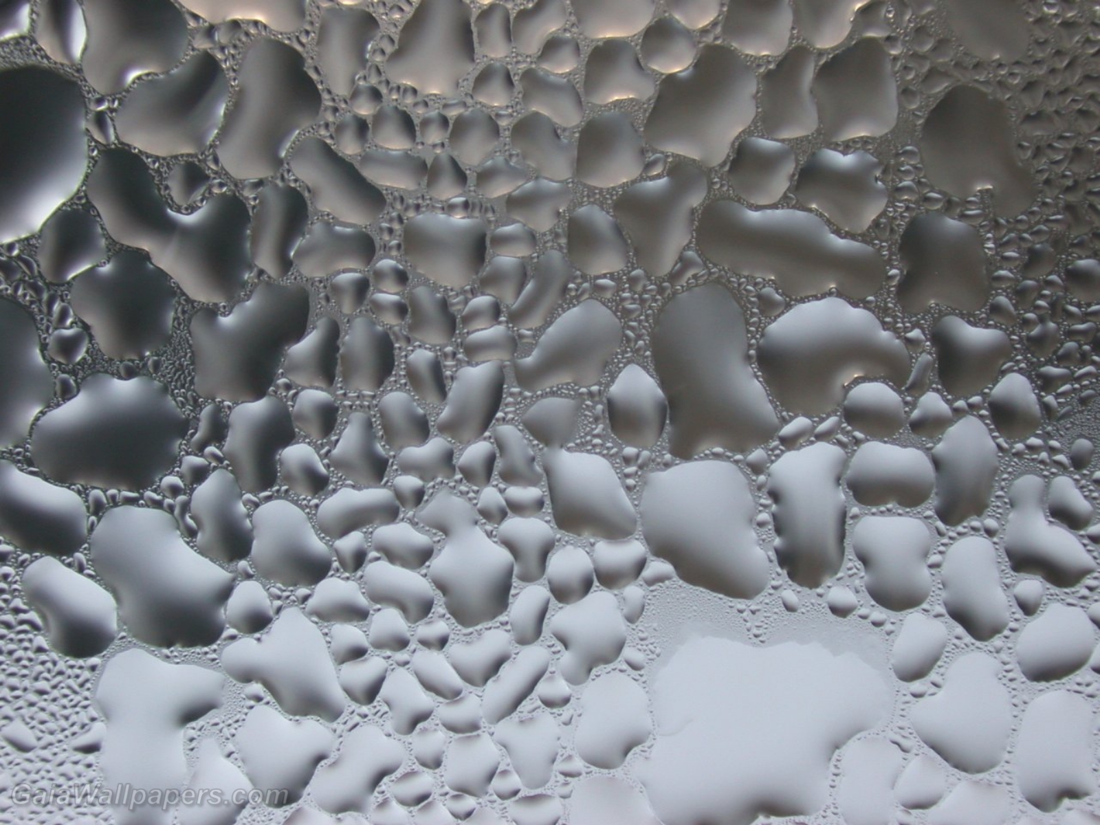 Silver water drop condensation - Free desktop wallpapers