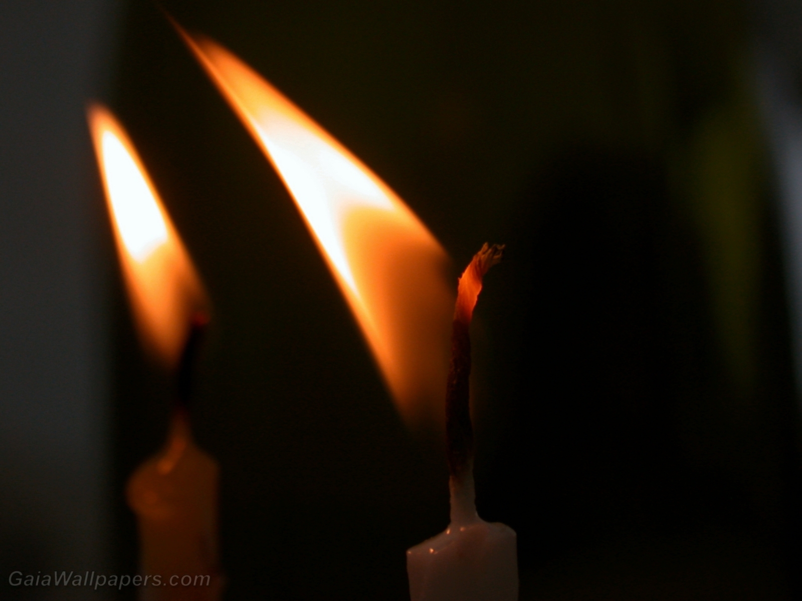 Candles in the wind - Free desktop wallpapers